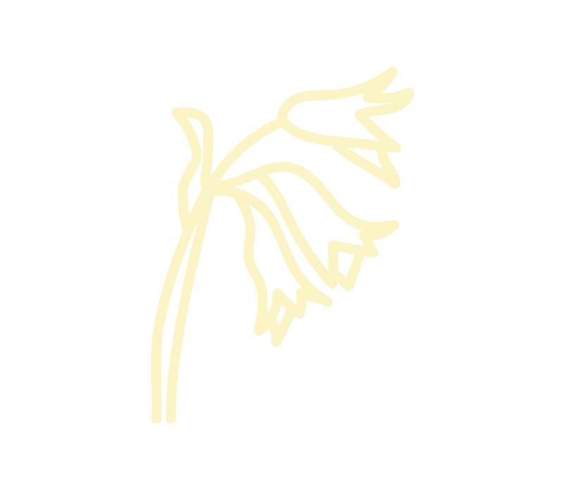 Oxlip logo